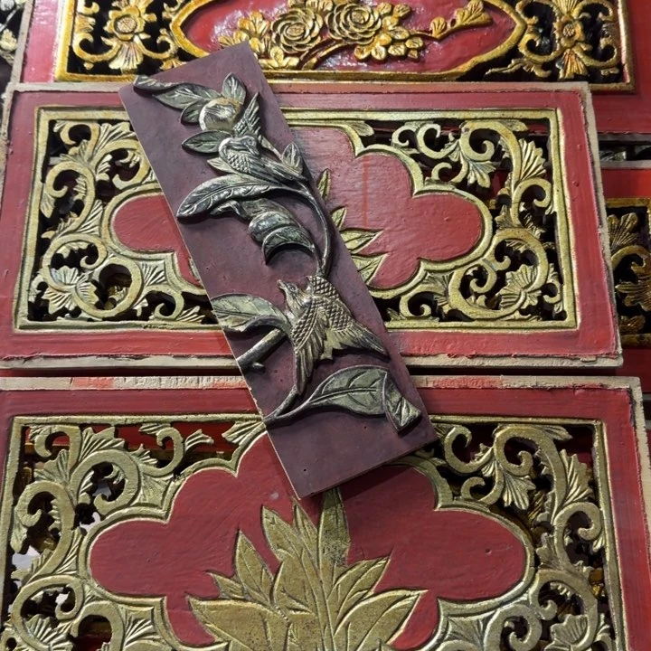 香榧木Y*动在干嘛，这两