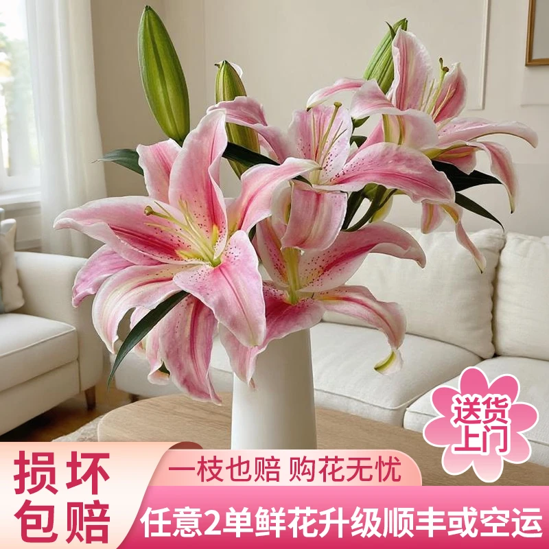 【黄梦宇】罗曼蒂克香水百合花全场鲜花任意满两单及以上送货上门