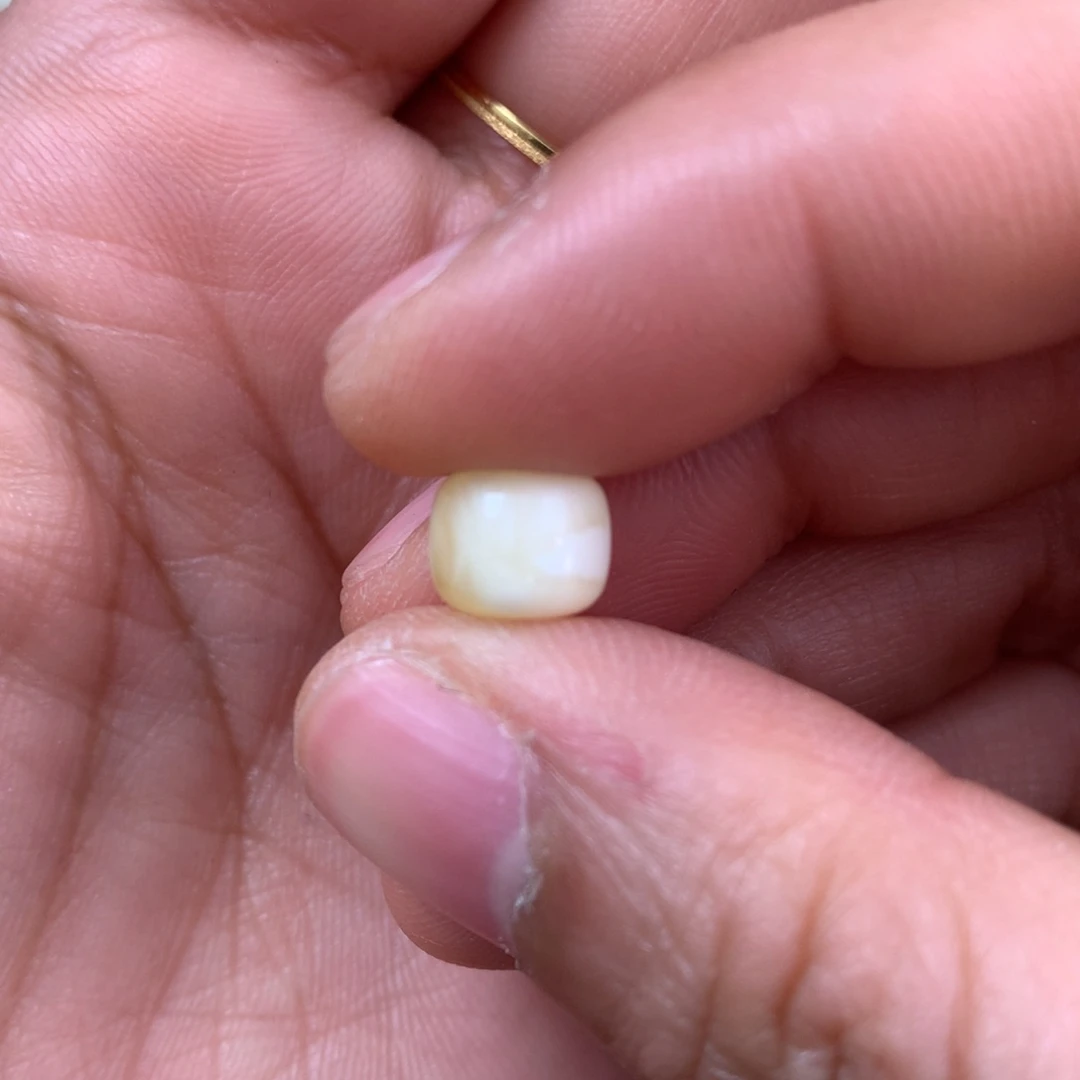 琥珀裸石未镶嵌蜜蜡