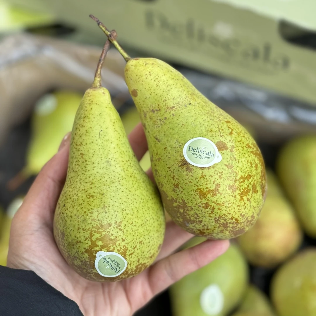 比利时啤梨 8斤左右  软糯丝滑 细腻香甜 孕妇小孩水果【只发河南】