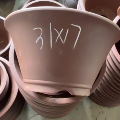 100-4。          31-17