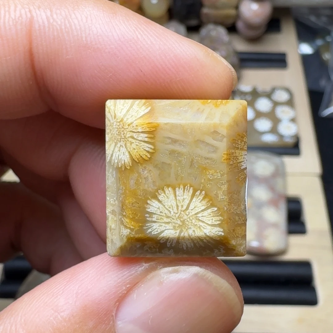 硅化珊瑚（珊瑚玉）未镶嵌纯天然色有机玉石保真色