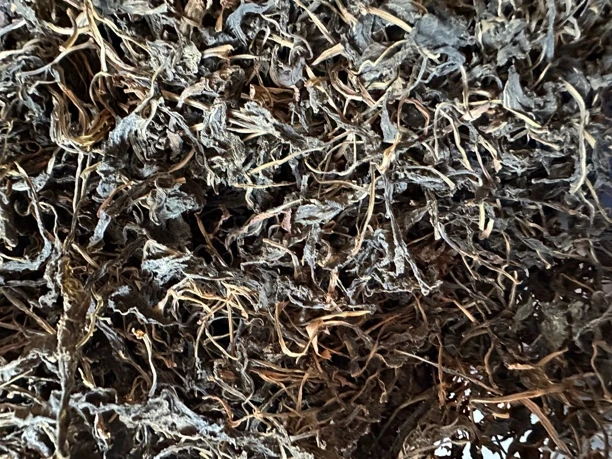 景宁农家野菜苦益菜干