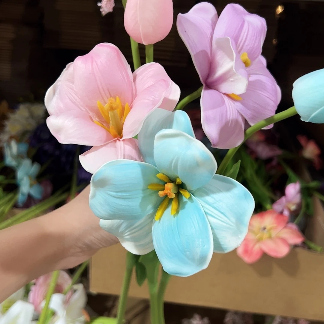 3枝混色2头布朗尼郁金香