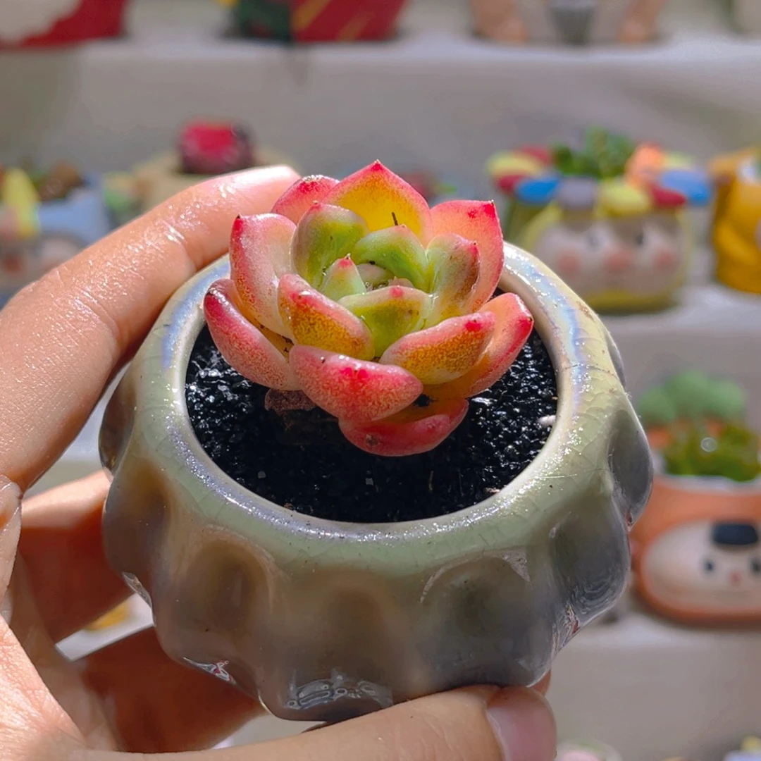 092纯手工制作重工盆盆一个8