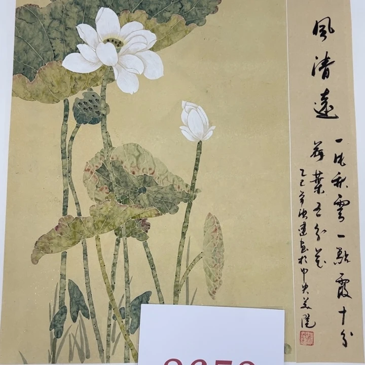 竖款惊喜的是我的大长腿和