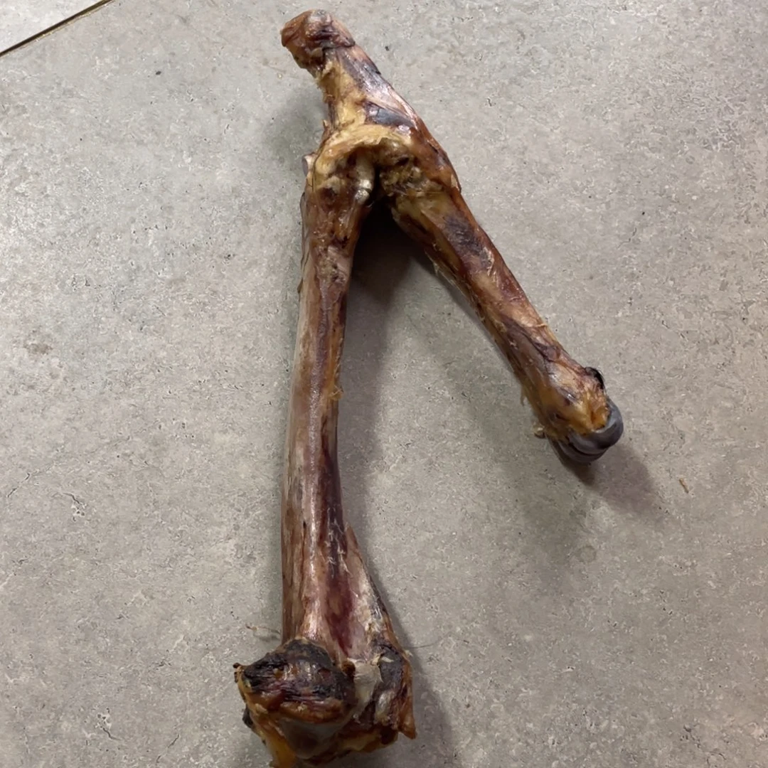 忘***川驼骨把件大腿骨骨