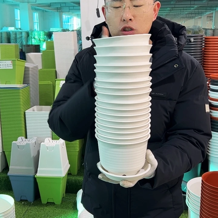 正品矮陶口15高11白色10只带托