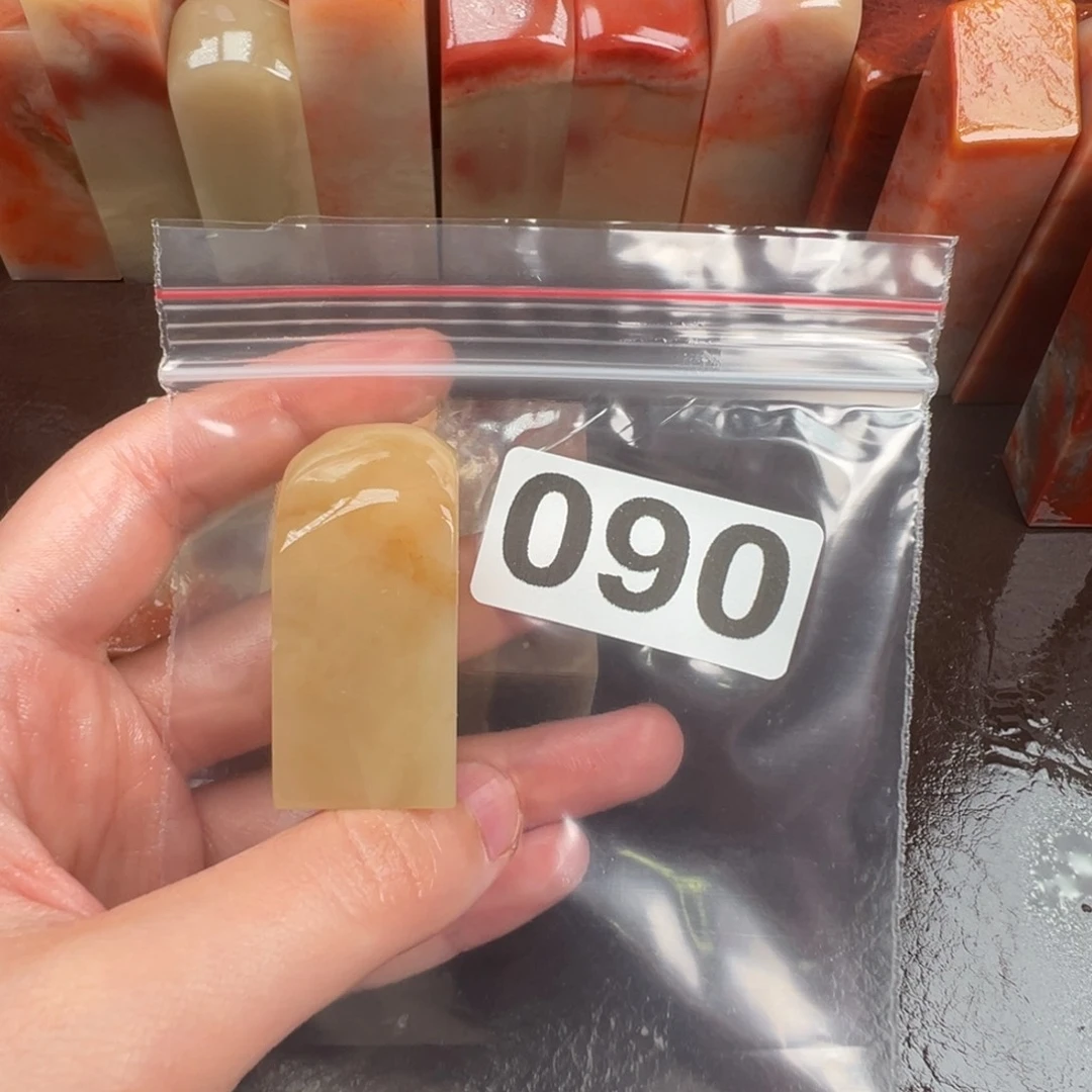 老挝石印石竹*老挝石