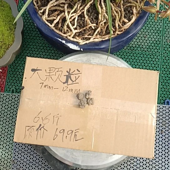 老***,兰菌黑山土大颗粒6.6斤