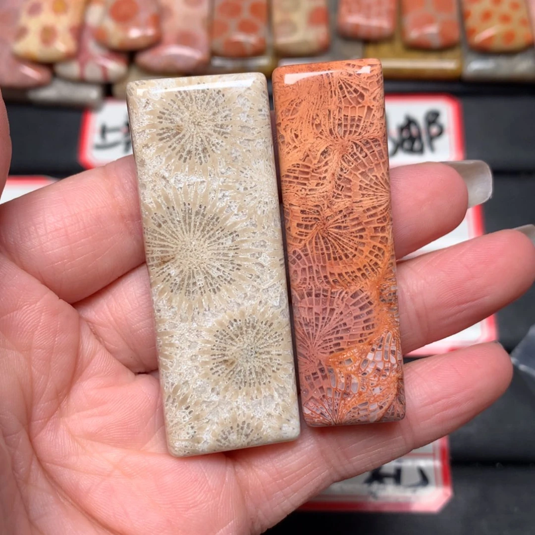 【闪购商品】未镶嵌颈饰硅化玉胡*二