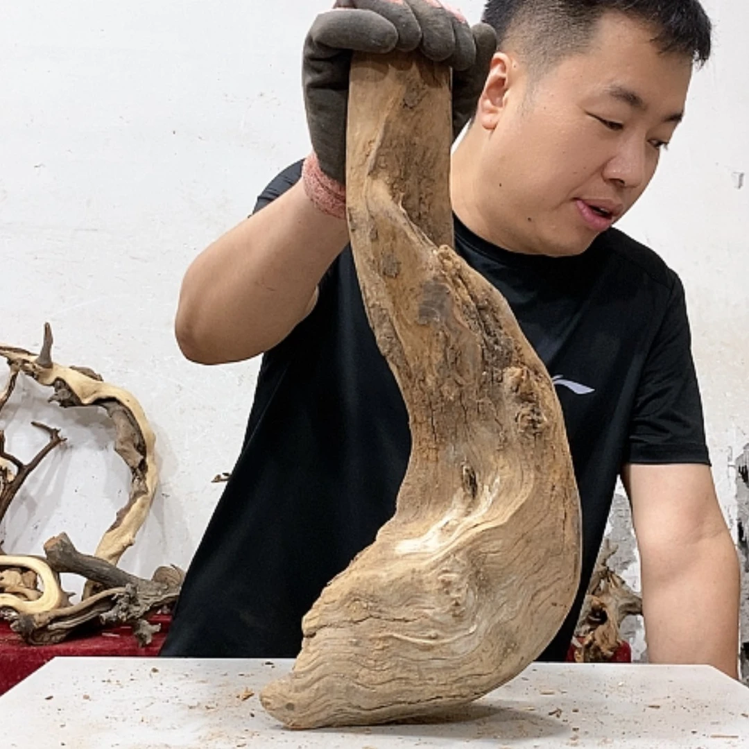 【闪购商品】柏木我****卡我们都是好孩子