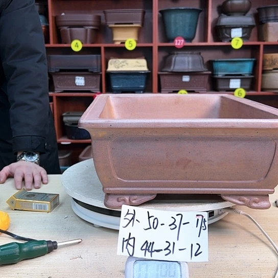 红陶享***@紫砂花盆里放的