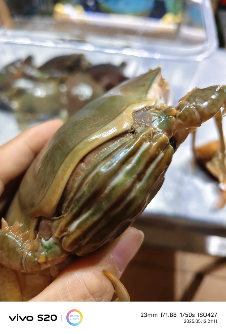 直播现场现称改价膏蟹奄仔蟹肉蟹