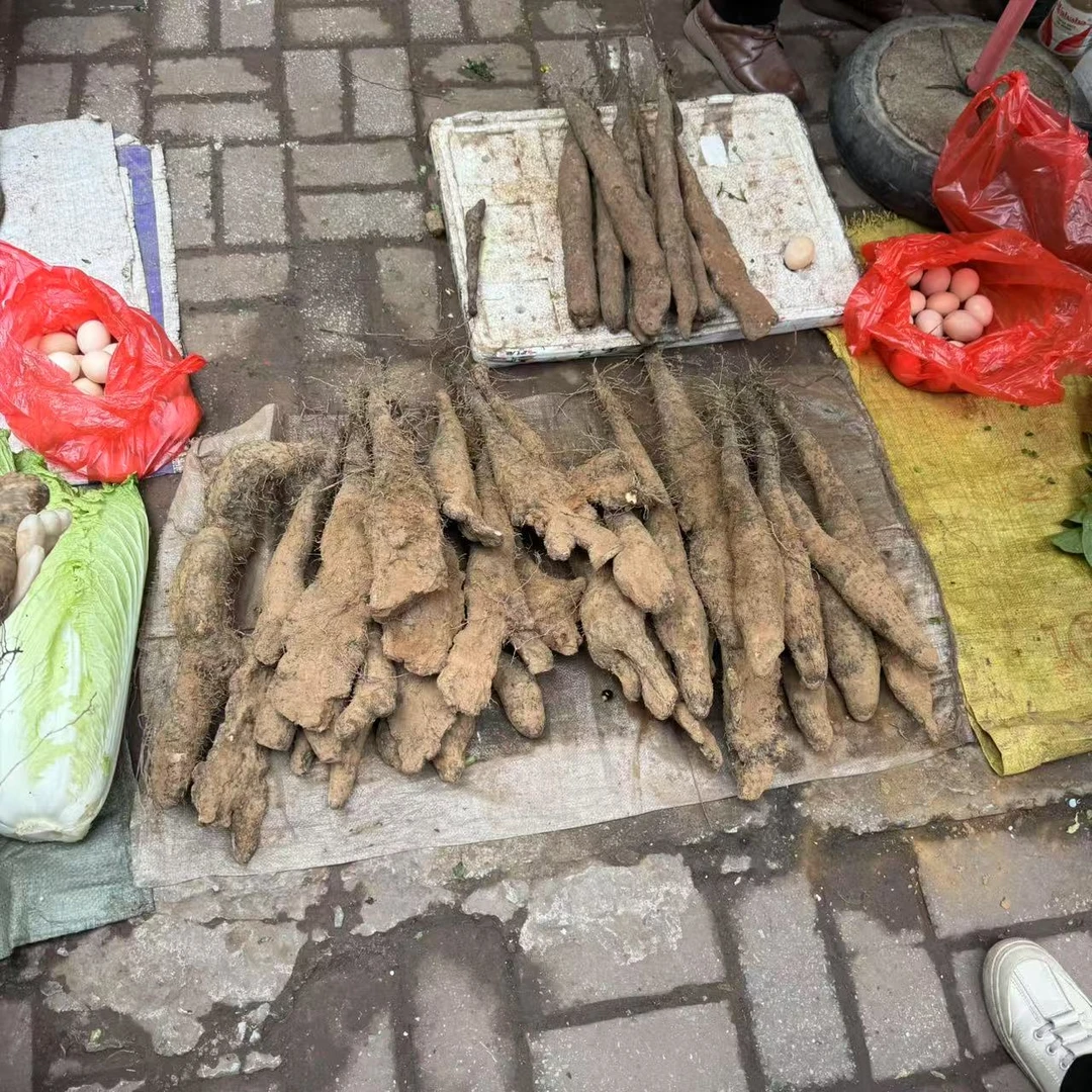 【箱装】广西农家淮山精心种植（土）