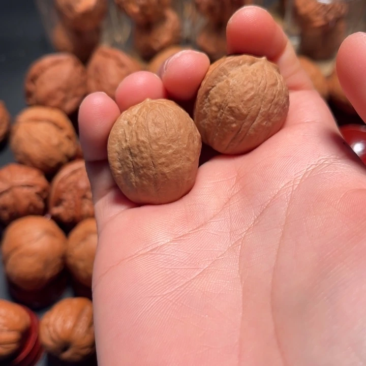 大叶紫檀（黑酸枝木类）佛抄抄写写吃