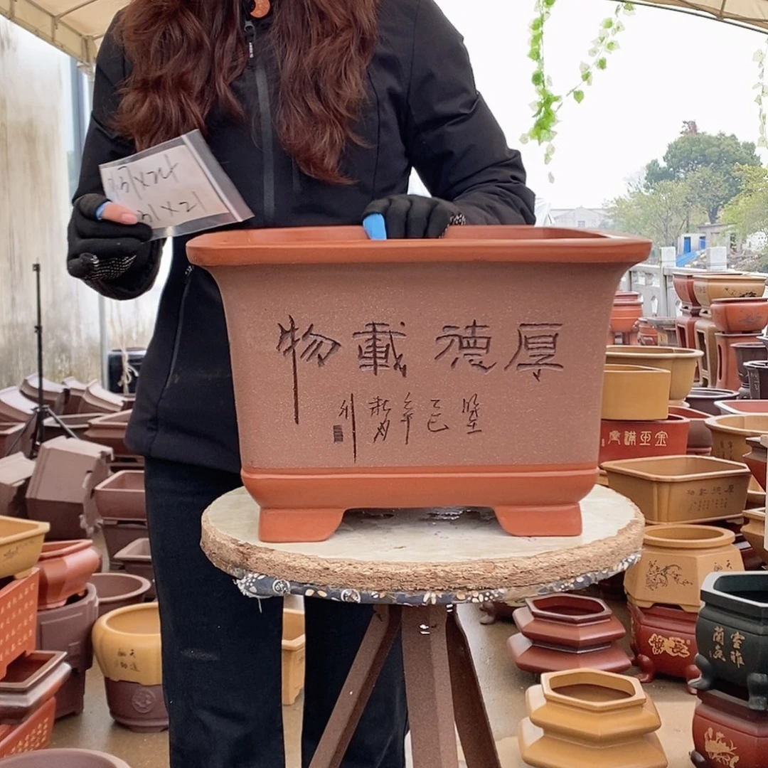 紫砂花盆紫砂花盆