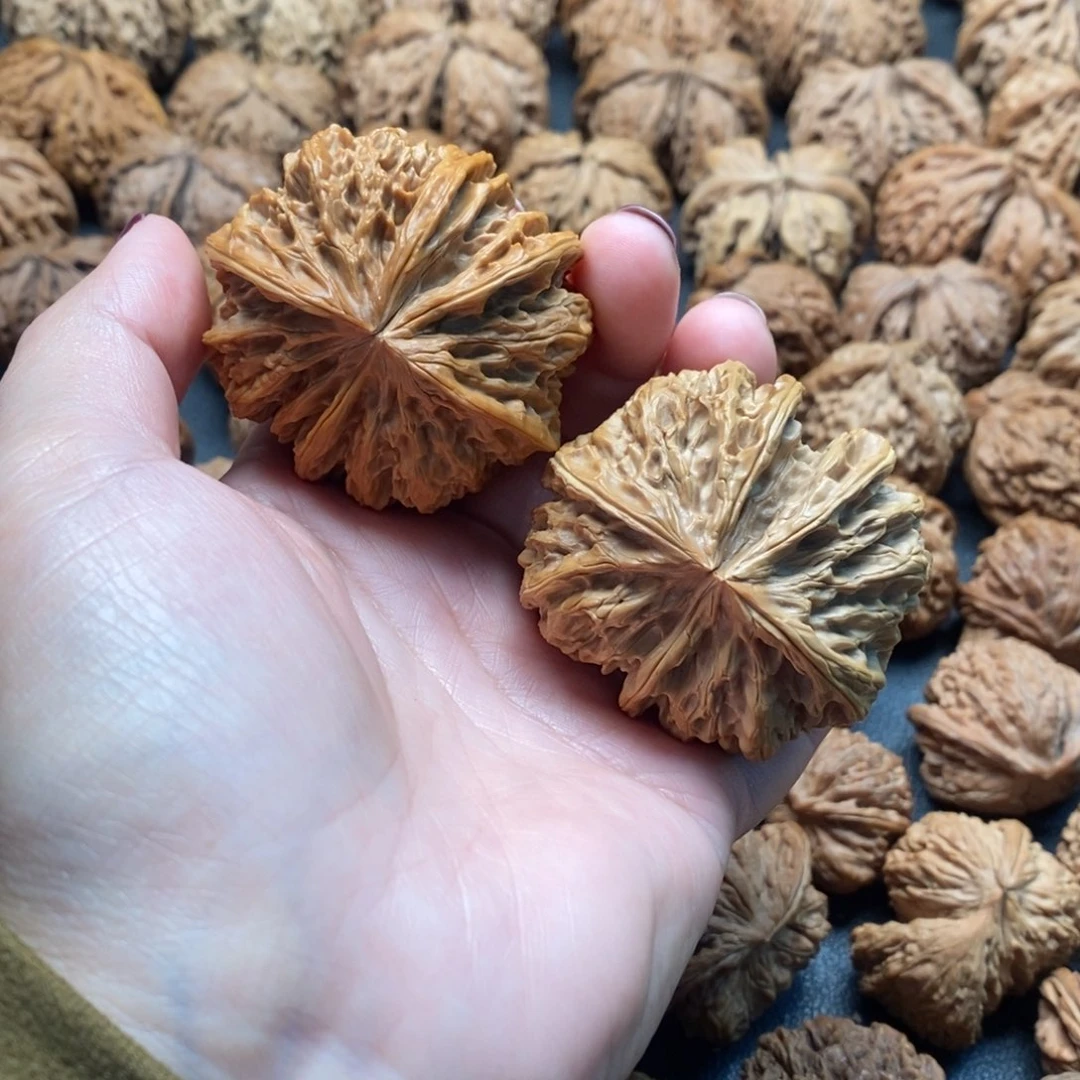 把件文玩核桃52野牛五棱