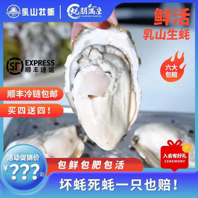 【买5斤送5斤】蚝朋满座乳山生蚝海鲜特大山东威海生蚝鲜活顺丰10斤