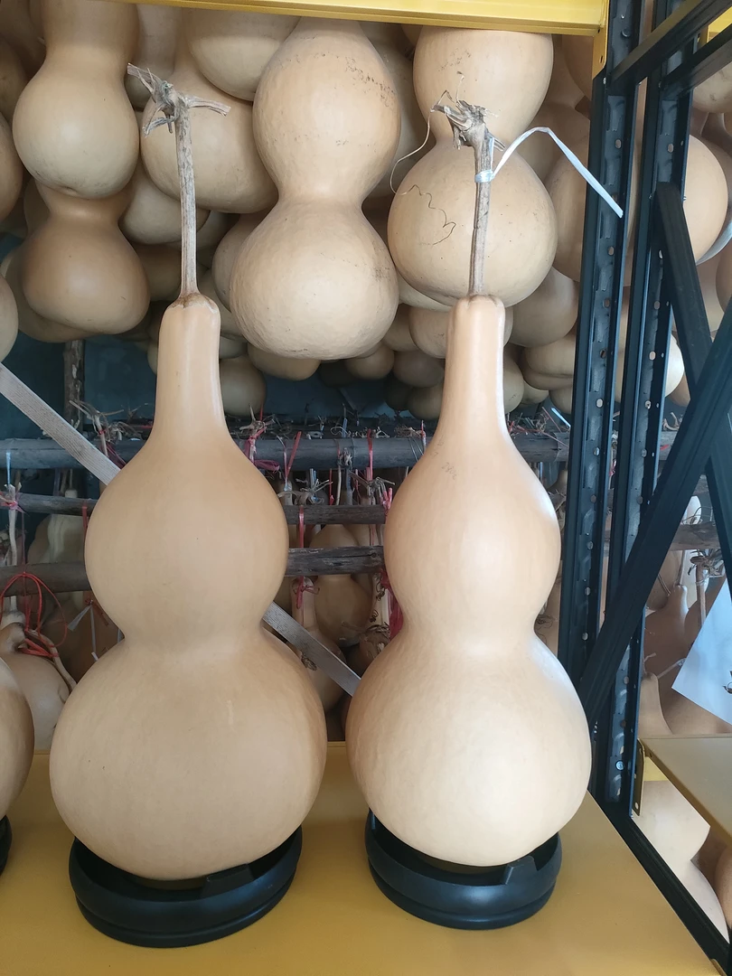 大亚湾葫芦种子15元30粒