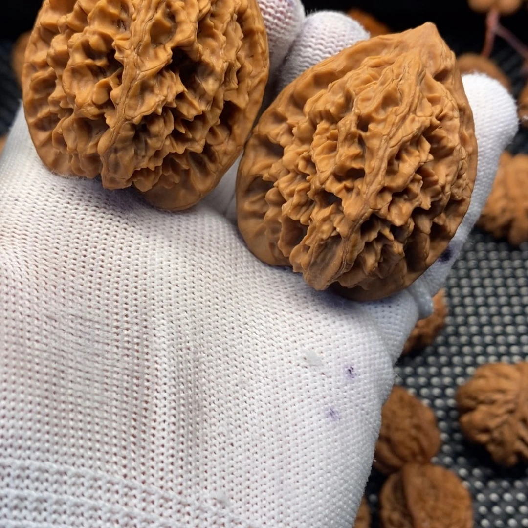 唐***宝秦岭山地核桃大龙