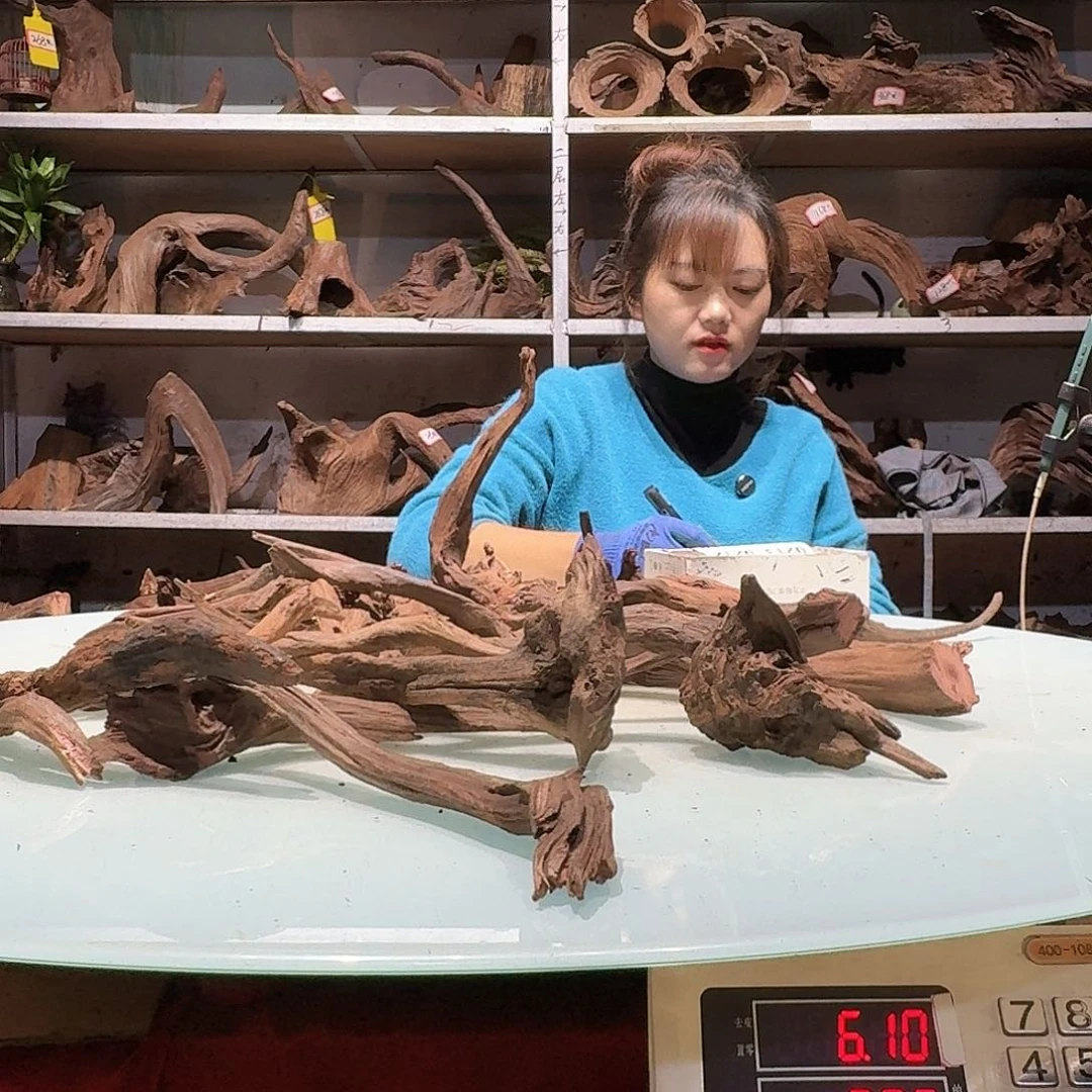 倍诸沉木不包损，必褪色m****o0205紫柚枝条