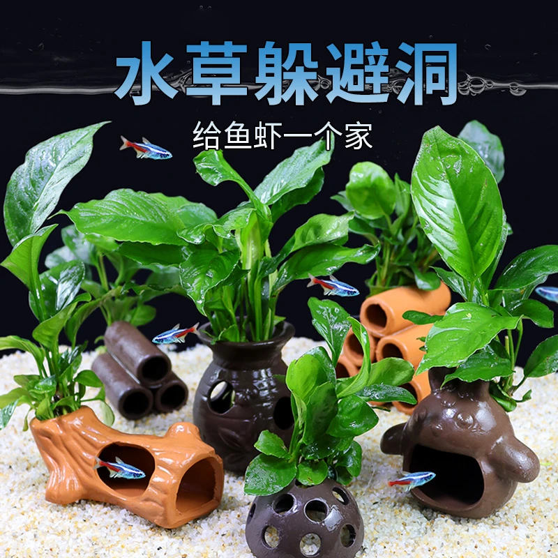 鱼缸造景水草活体巴榕陶罐活体水族陶瓷水下懒人增氧摆件躲避屋