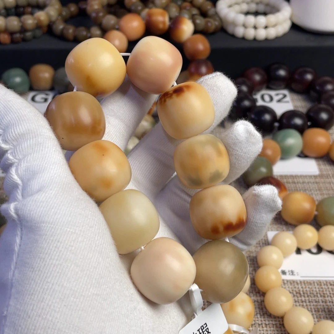 菩提根/象牙果吊坠可**琪