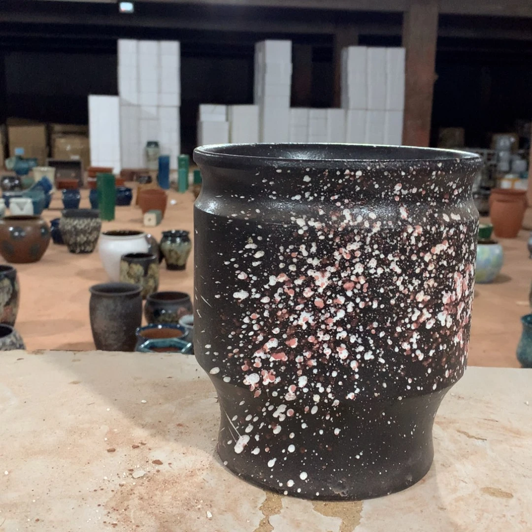 花盆啦啦啦啦啦啦啦啦