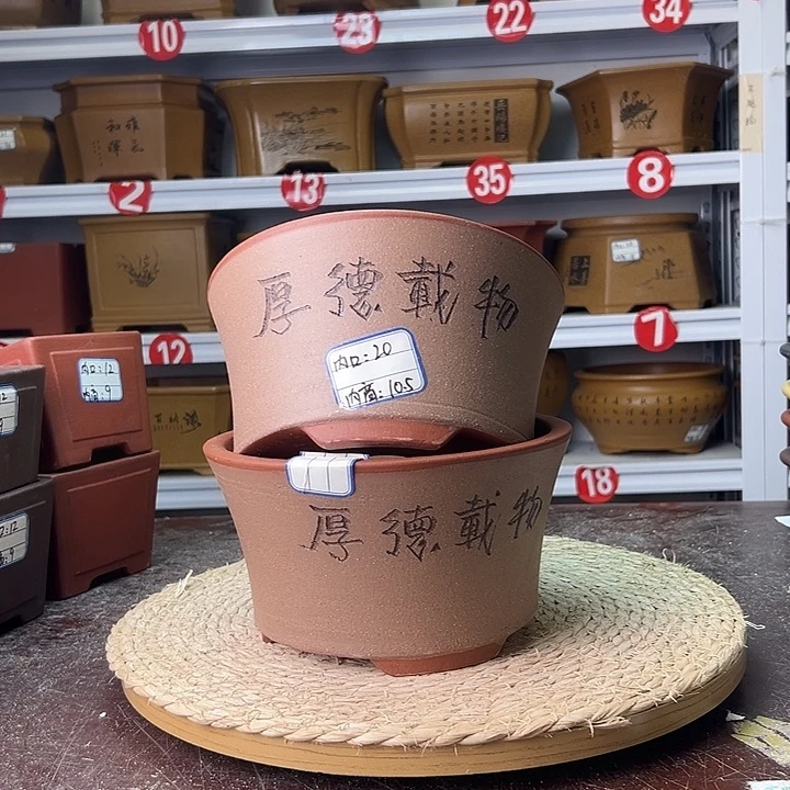 紫砂花盆蛇年大吉
