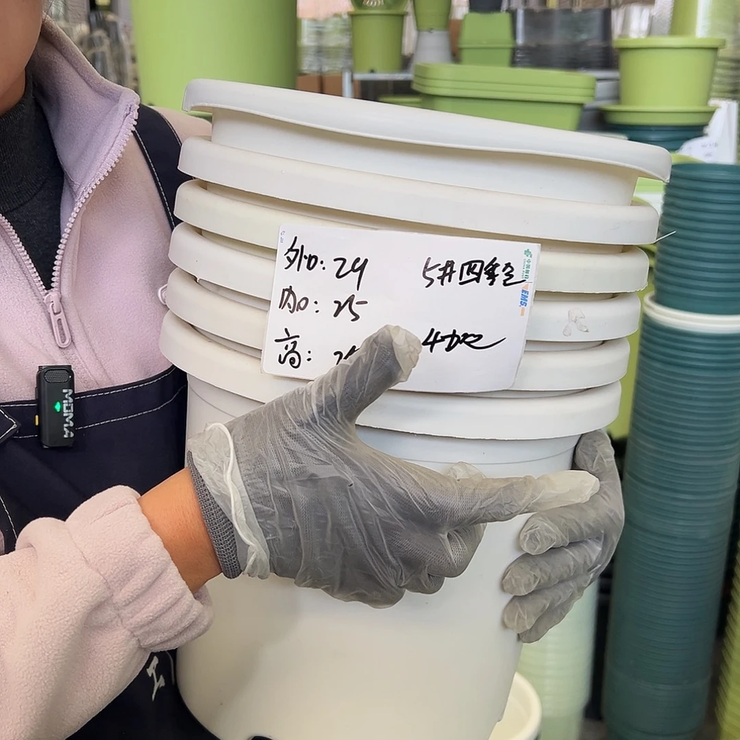瑕疵四季盆5#白色6个无托