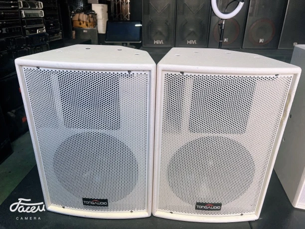 唐朝10寸专业舞台音箱 不包邮