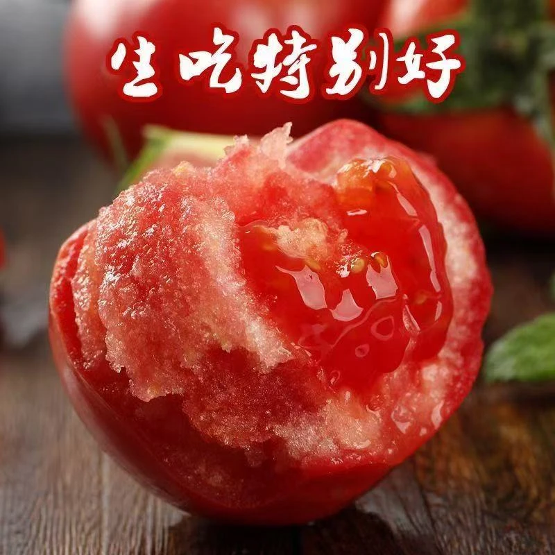 肥乡酸甜沙瓤酵素水果西红柿口感番茄