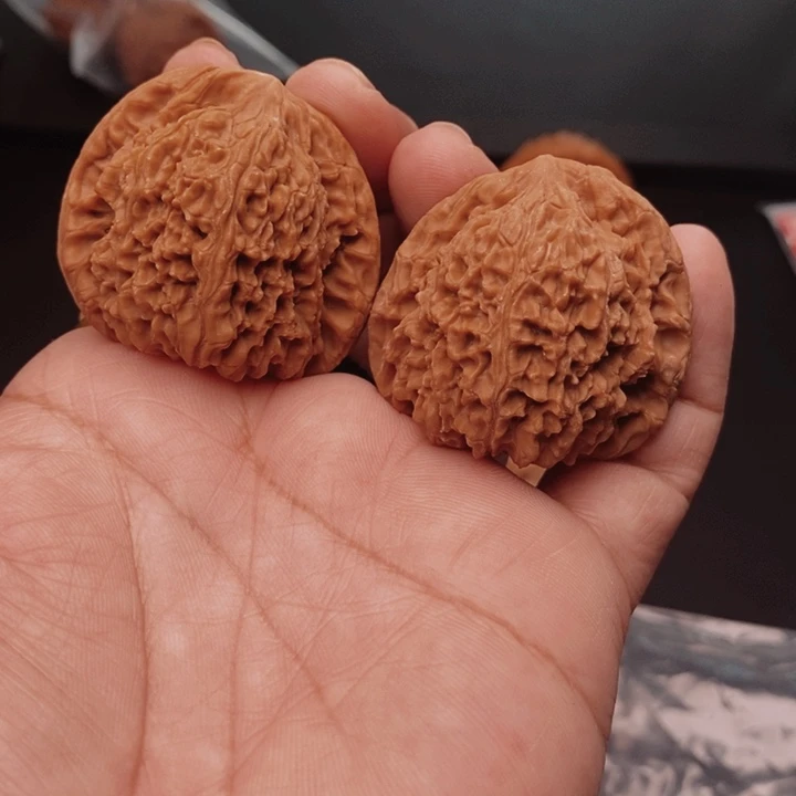 核桃南疆40尺核桃