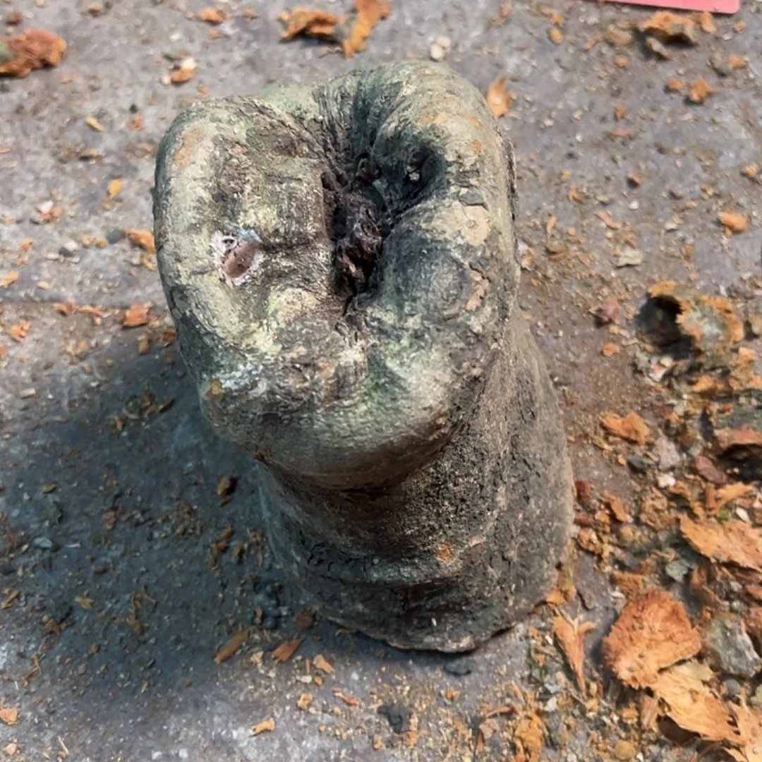 海***民荔枝木荔枝木毛料38