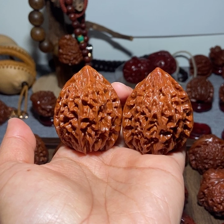 ****鱼核桃核桃111111111111