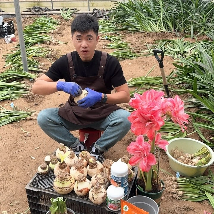 ****憶随机基地球一个，，，