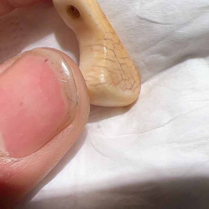 香榧木你的时候我