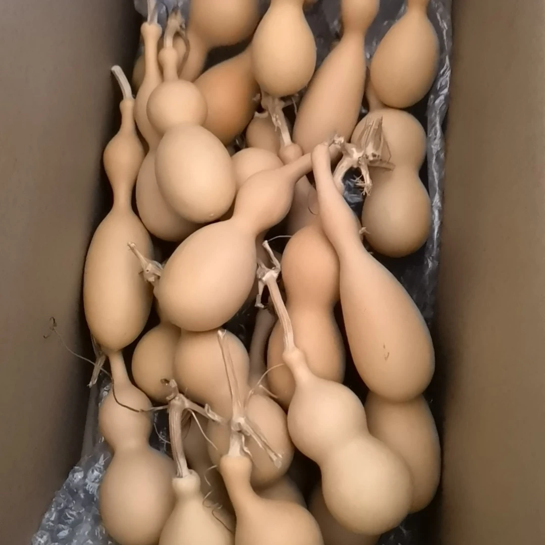 直播间链接，文玩葫芦