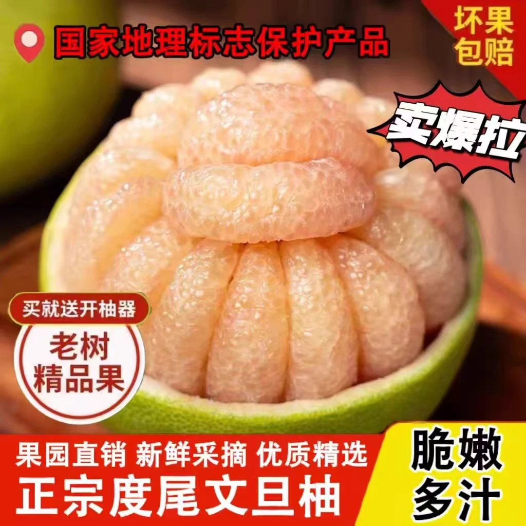 正宗度尾文旦柚子福建莆田仙游红心蜜柚孕妇新鲜水果青柚