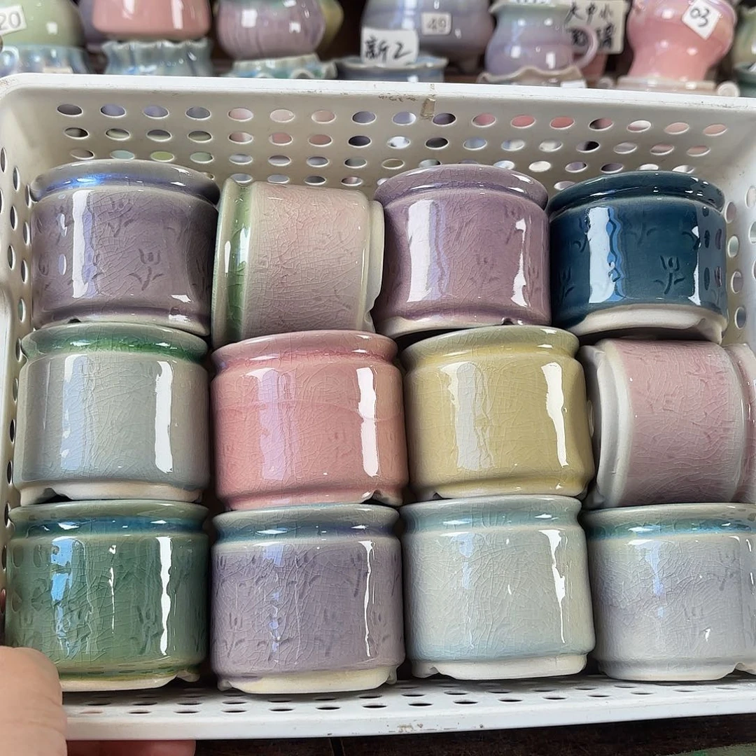 量货/口6高6深浅搭配发12个