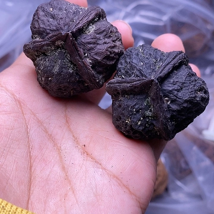 把件文玩核桃   24