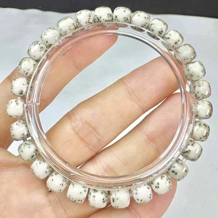 【毕业级半壁河豚】白冰河豚同枝果星月菩提7×8桶珠