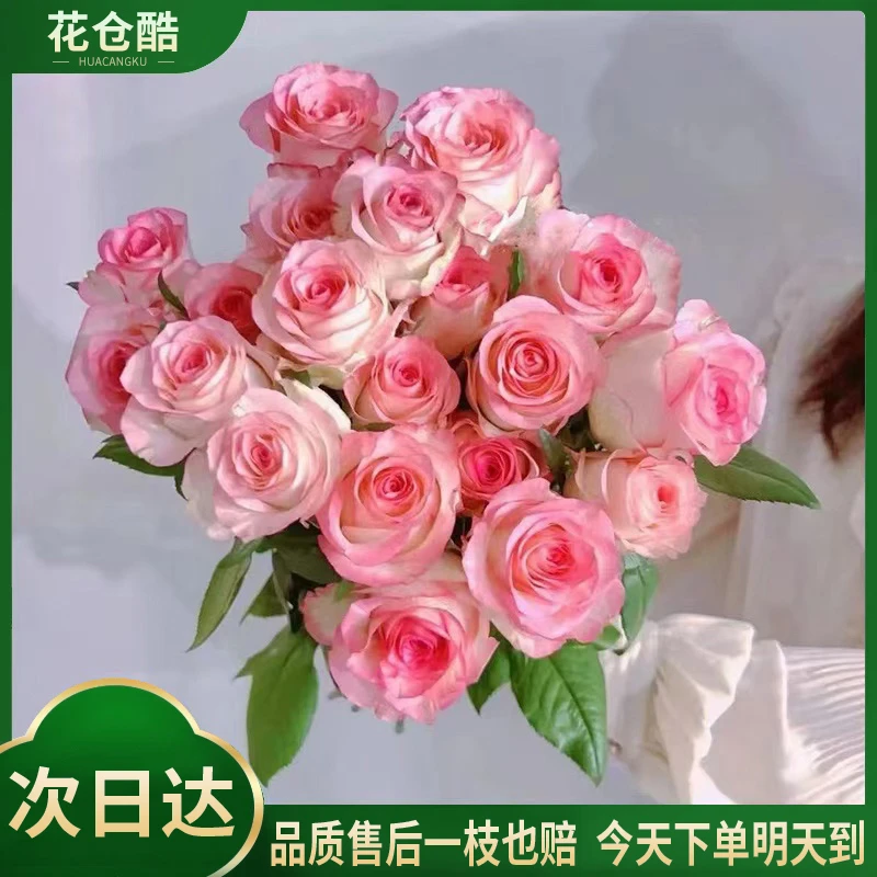 【艾莎玫瑰】10枝鲜花鲜切花家庭插花生活鲜花玫瑰花-鲜花批发直播次日达包邮配送上门今天下单明天送达