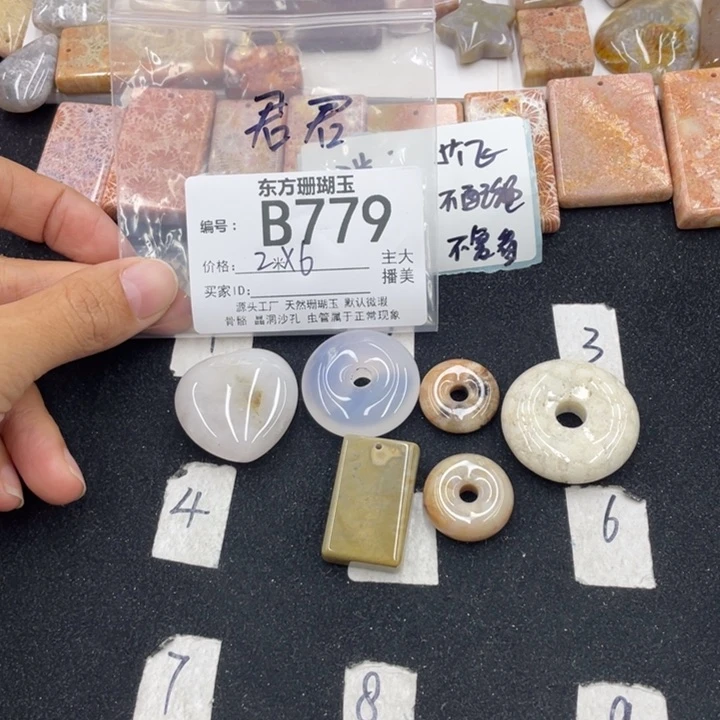 硅化珊瑚（珊瑚玉）颈饰合金君*崽