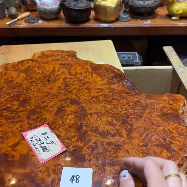 董***长在这一刻你觉得我48