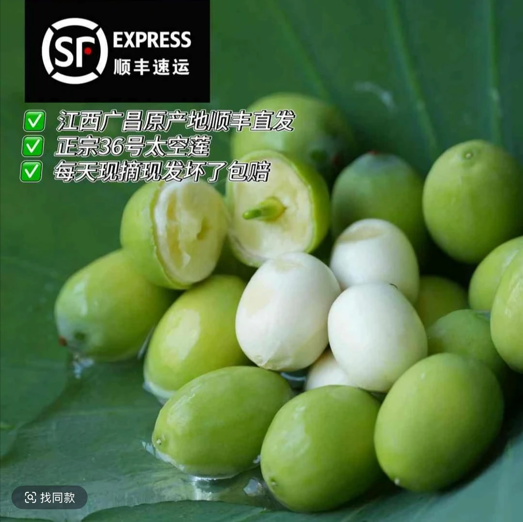 【5-6分熟嫩莲蓬】新鲜莲蓬现摘现发甜嫩莲子米生吃清香脆甜