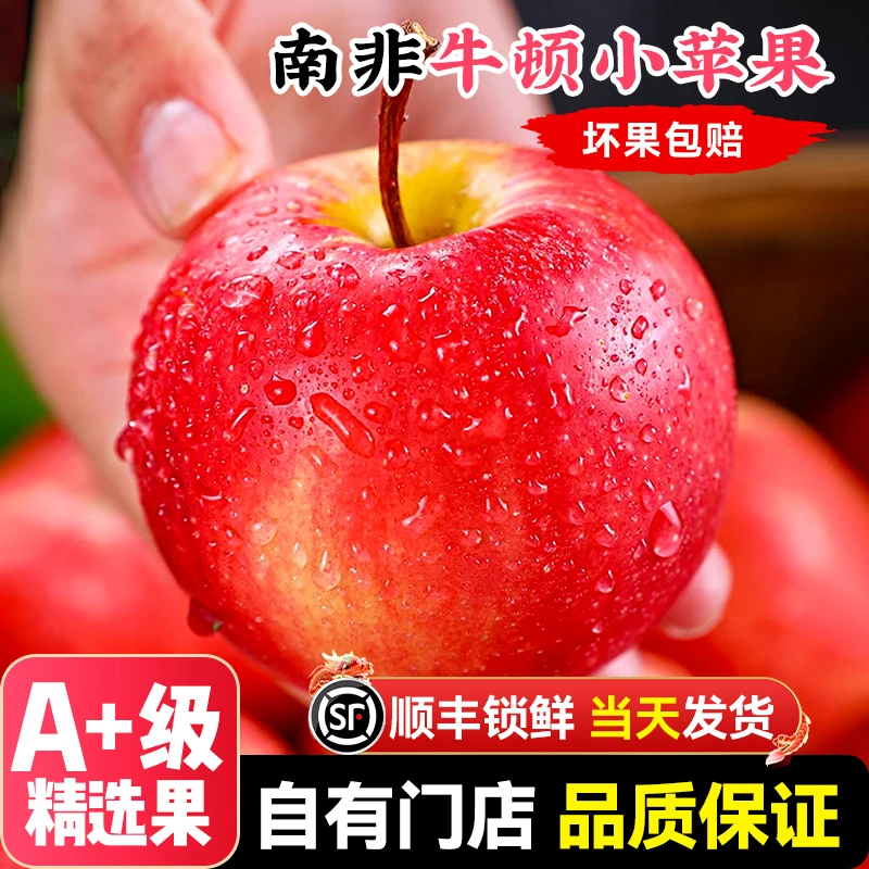 【顺丰送货上门】10个进口牛顿小苹果新鲜当季脆甜整箱包邮斤