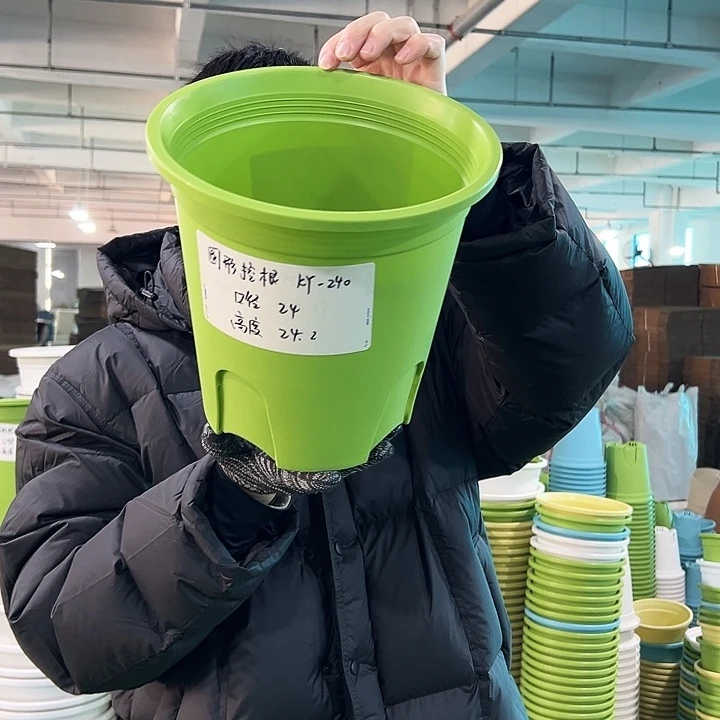 正品圆控口24高24果绿无托5只