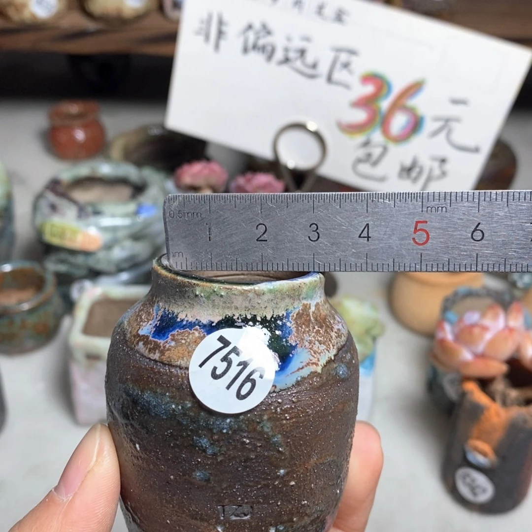 花盆拍5送一个小礼物